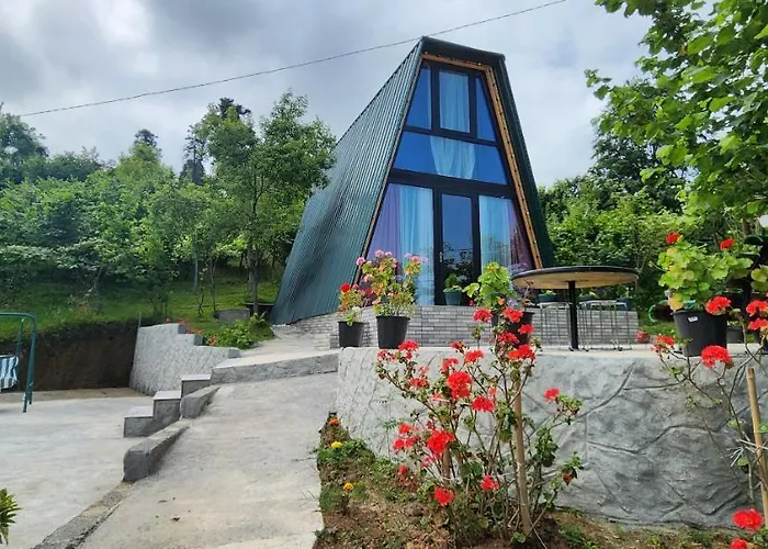 Daiana Green House