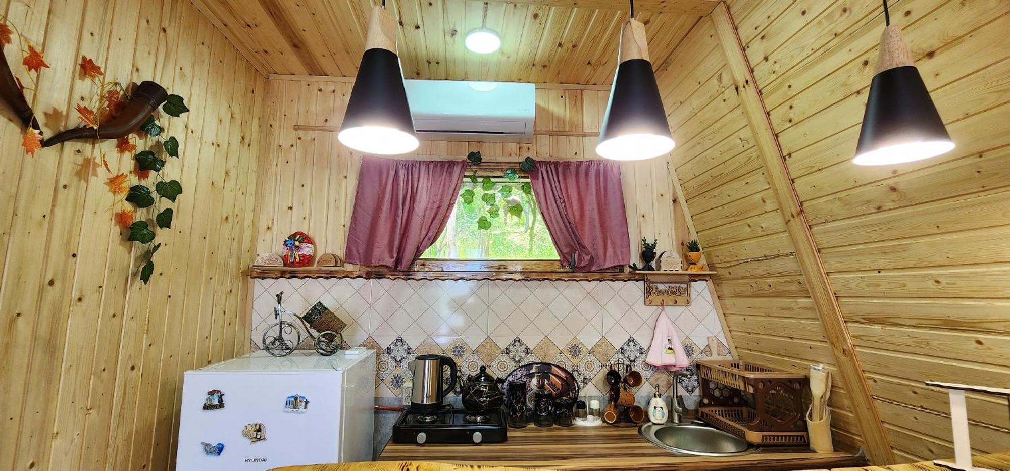 Daiana House